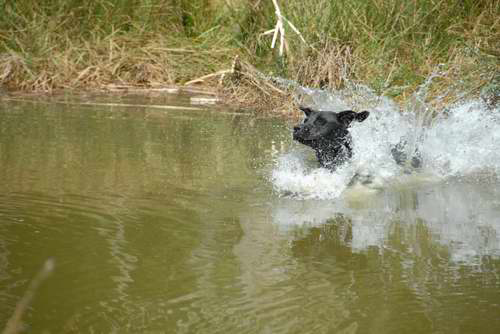 gc427_20070430_1900687565