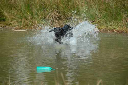 gc433_20070430_1658610355
