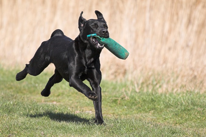 (c) StefanG, M�rz 07