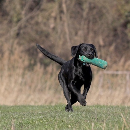 (c) StefanG, M�rz 07