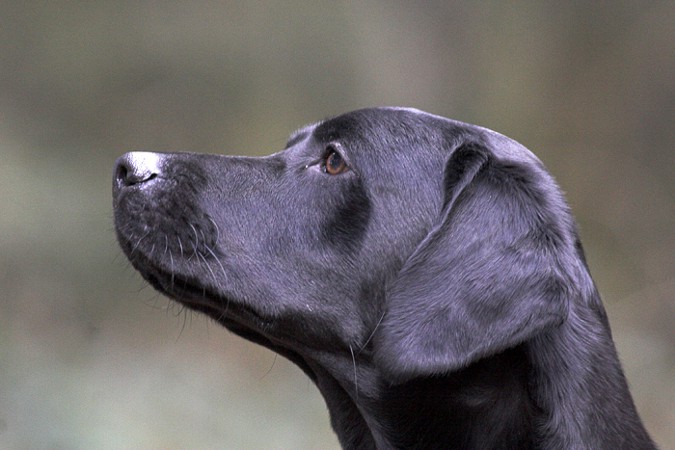 (c) StefanG, M�rz 07