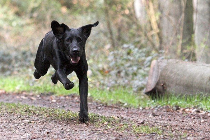 (c) StefanG, M�rz 07