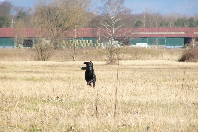 (c) MyriamK, M�rz 07