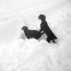 Topper & Tara im März